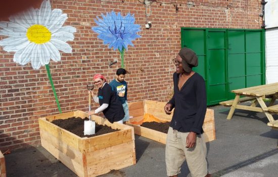 Community Gardening