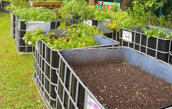 Community Gardening